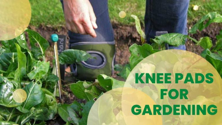 9 Best Knee Pads for Gardening in 2024