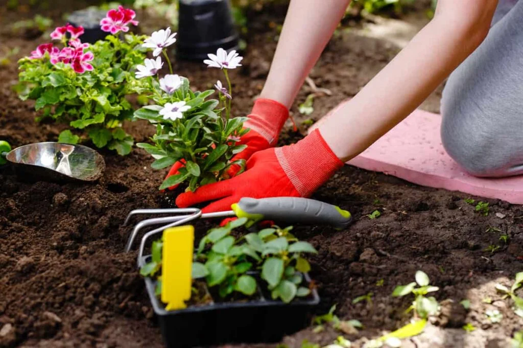 Introduction to Gardening Knee Pads: Benefits & DIY Tutorial