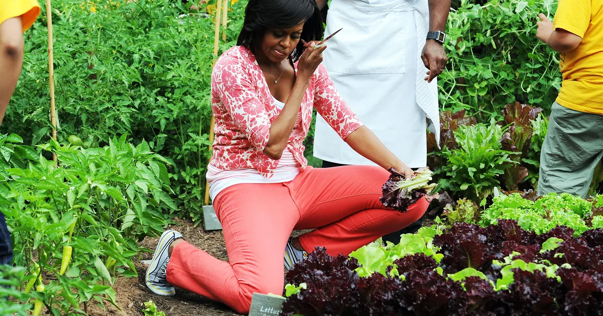 Types of Gardening Knee Pads